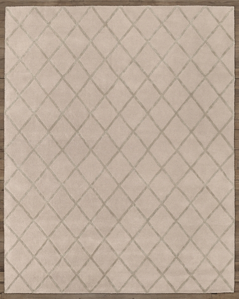 Amari Trellis Rug